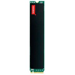 SSD накопитель 2.56TB, M.2 (P110) PCIe 4x4, 4IG2-P (iSLC+DRAM), 0…+70°C, Объем: 2.56 TB, Резервирование питания: нет, Криптография: −, Рабочая температура: 0…+70°C, Чипы флэш-памяти: Kioxia BiCS5  – ТА