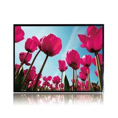 ЖК-панель DURAPIXEL 6.5", 640×480 (4:3), 800 нит, сенс. экран  – ТА