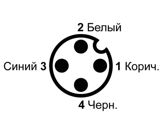 Кабель 5 м с прямым штекером M12 (4×0.35 мм²), ПВХ, Разъем 1: M12 штекер, Исполнение разъема 1: прямой, Длина кабеля: 5 м, фото 3  – ТА