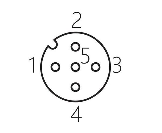 Прямой разъем M12 "мама" (4 pin, A-code) с клеммами, для кабеля Ø6…8 мм, Разъем 1: M12 гнездо, Число контактов: 4, Исполнение разъема 1: прямой, Модификация: стандарт, Электрическое подключение: кабель Ø6…8 мм, фото 3  – ТА