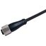 Кабель 2 м с прямым гнездом M12 (5×0.22 мм²), PUR  – ТА