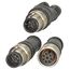 Y-разветвитель M12 "мама" (8 pin) → 2×M12 "папа" (4/2 pin), фото 3  – ТА
